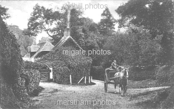 Image number 1138&prevurl=year1911