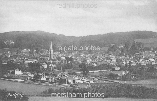 Image number 1342&prevurl=dorking