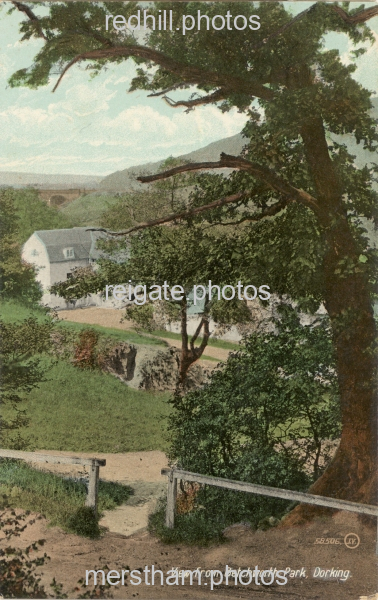 Image number 1345&prevurl=dorking