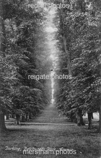 Image number 1346&prevurl=dorking