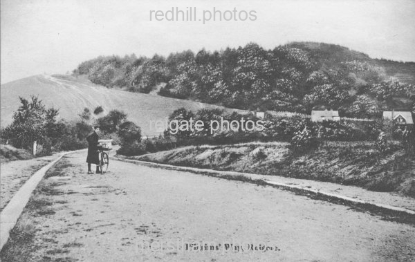 Image number 3671&prevurl=publishers89