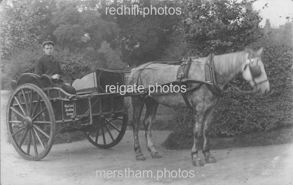 Image number 3772&prevurl=rectorylane