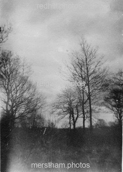 Image number 783&prevurl=year1911