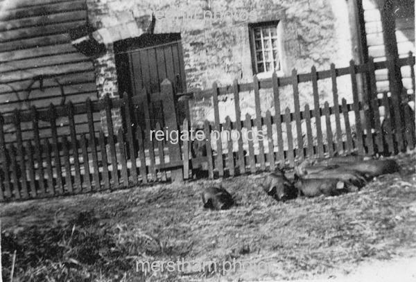 Image number 784&prevurl=year1911