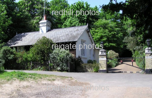 Image number 2101